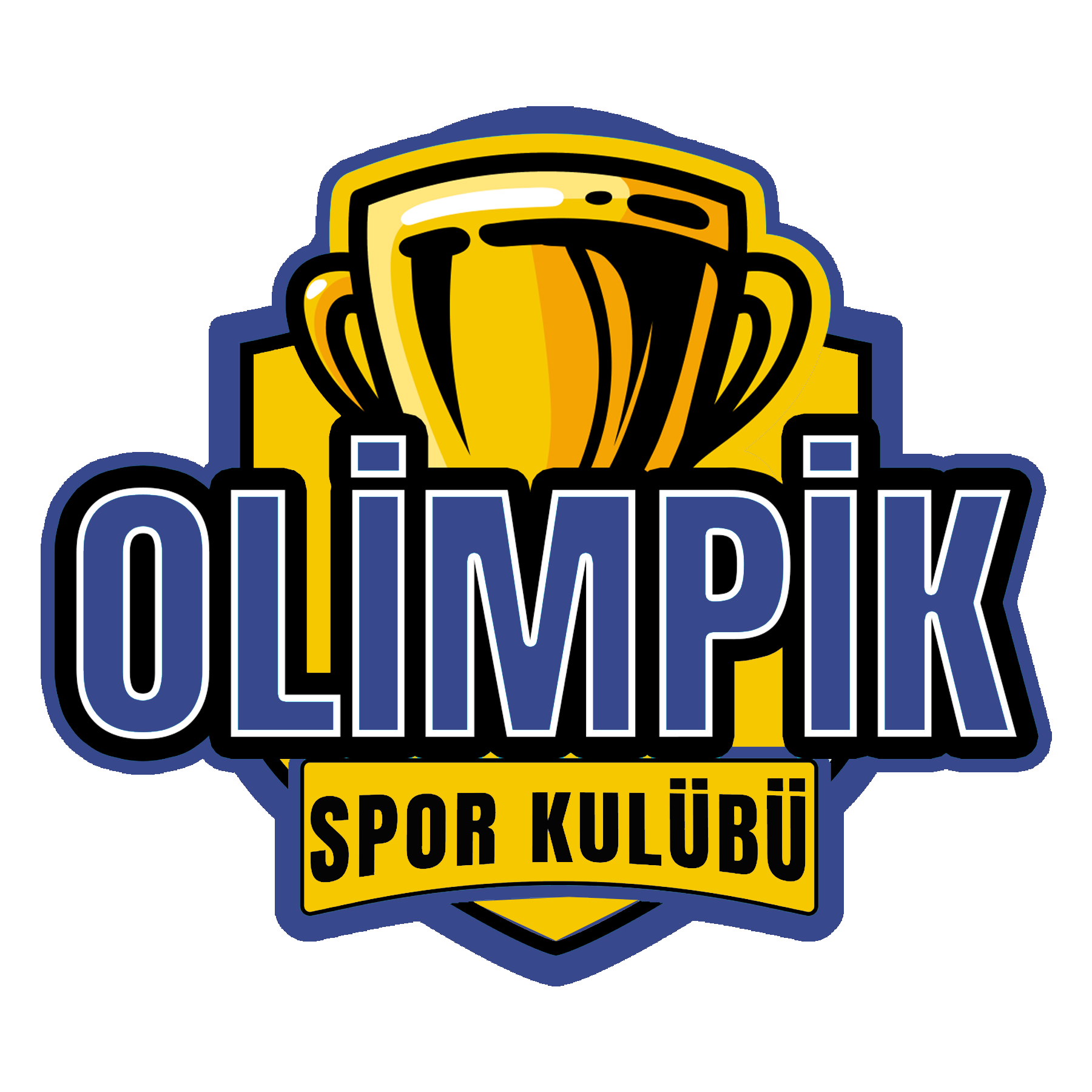 voleybol kursu basketbol kursu eğitimi